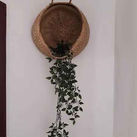 度假居 Ninestories Baleal 费雷尔